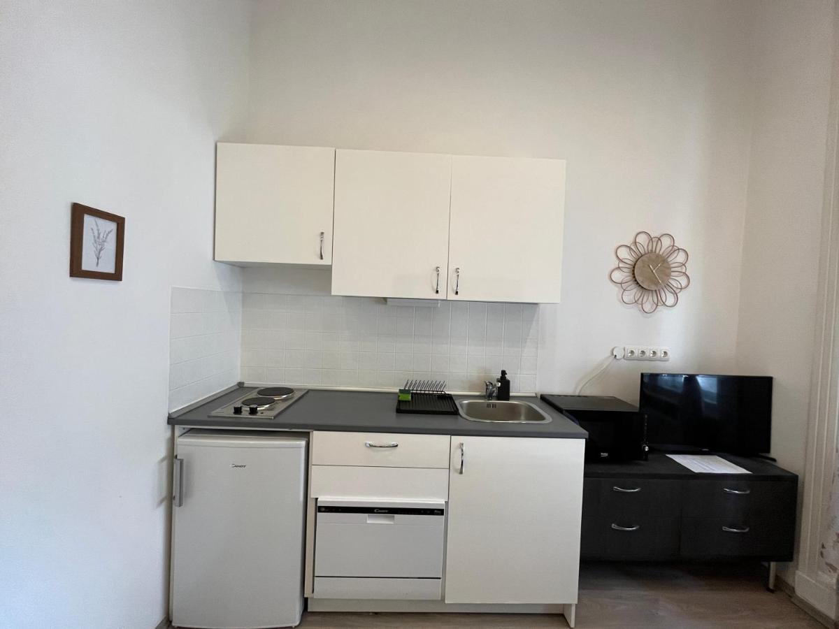 D58 Superior Apartments In The City Center Budapest Ngoại thất bức ảnh